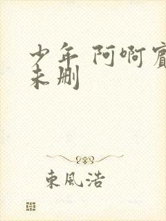 少年 阿啊宾文未删