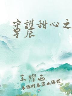 守护甜心之暗夜星辰