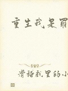 重生我是罗成