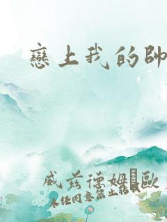 恋上我的帅和尚