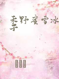 禾野蜜雪冰城本子