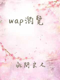 wap浏览
