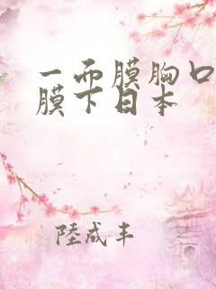 一面膜胸口一面膜下日本