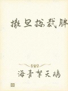 撒旦总裁胖前妻