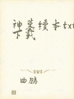 神墓续本txt下载