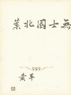 叶北国士无双
