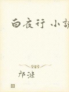 白夜行 小说