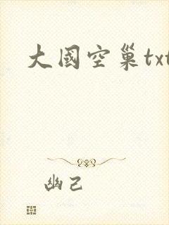 大国空巢txt