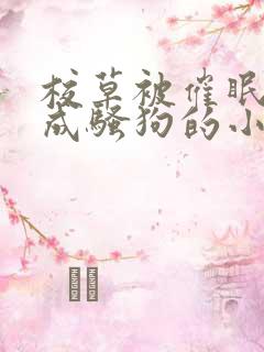 校草被催眠洗脑成骚狗的小说