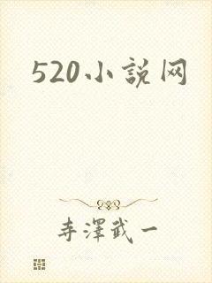 520小说网