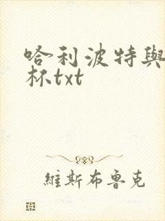 哈利波特与火焰杯txt