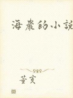 海岩的小说