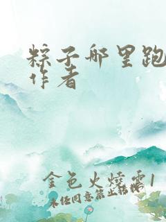 粽子哪里跑小说作者