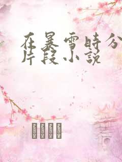 在暴雪时分高能片段小说