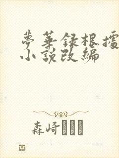 梦华录根据什么小说改编