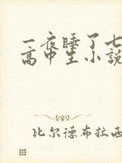 一夜睡了七个女高中生小说h