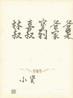 林喜宝爸爸叫李叔叔到家是哪一集