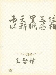 两天里三位将军以新职亮相