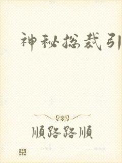 神秘总裁引入怀