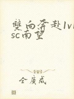 双向奔赴1v1sc南望