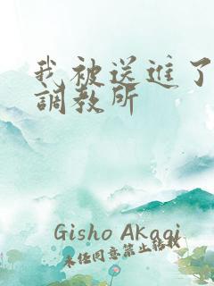 我被送进了私奴调教所