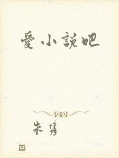 爱小说吧