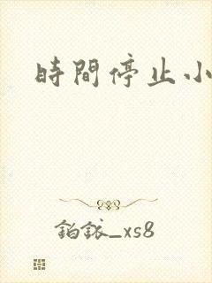 时间停止小说