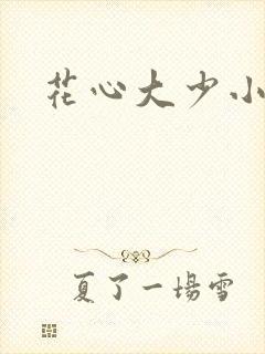 花心大少小说