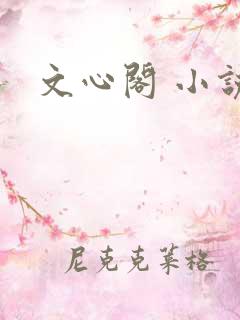 文心阁 小说