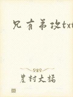 兄有弟攻txt