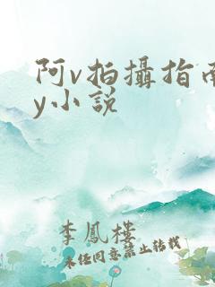 阿v拍摄指南by小说