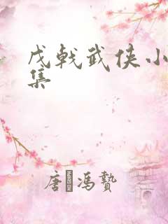 戊戟武侠小说全集