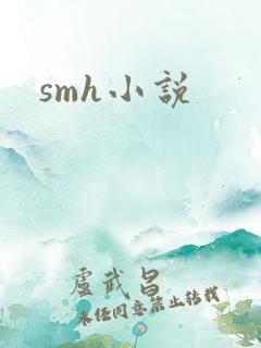smh小说