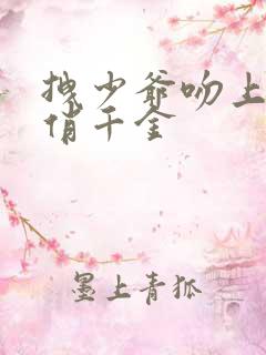 拽少爷吻上野蛮俏千金