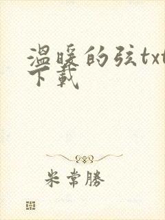 温暖的弦txt下载