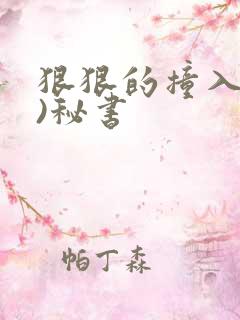 狠狠的撞入(h)秘书