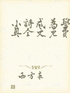 小诗成为学校教具全文免费阅读无弹窗