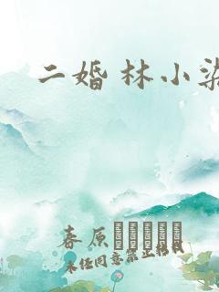 二婚 林小染