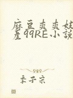 麻豆爽爽妓女国产99RE小说