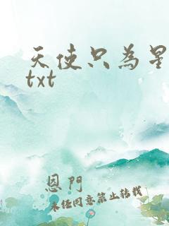 天使只为星夜哭txt