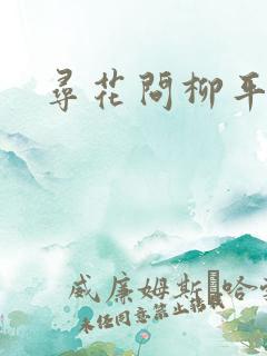 寻花问柳平天下