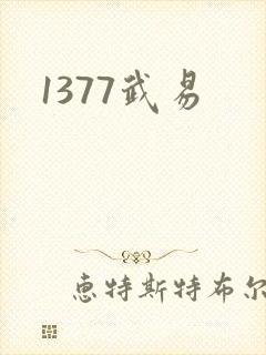 1377武易