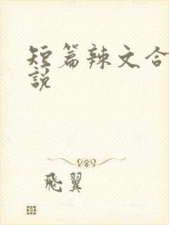 短篇辣文合集小说