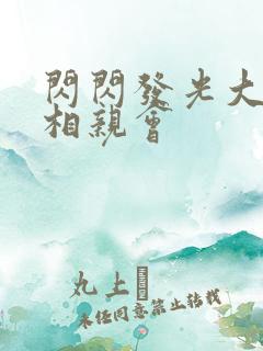 闪闪发光大团圆相亲会