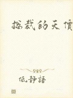 总裁的天价宝贝