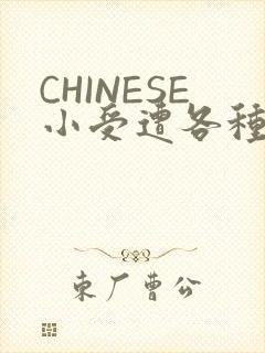 CHINESE小受遭各种打桩