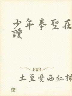 少年拳圣在线阅读