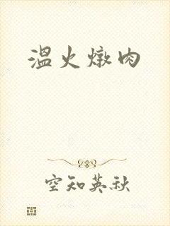 温火炖肉