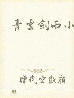 青云剑雨小说