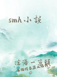smh小说